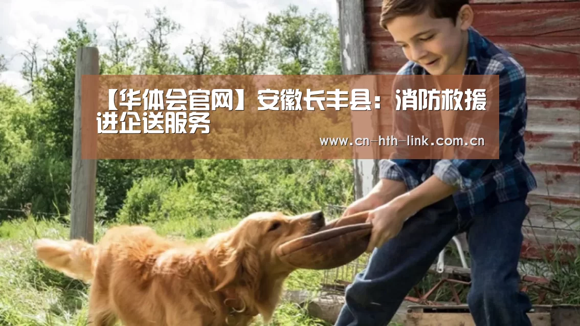 华体会入口