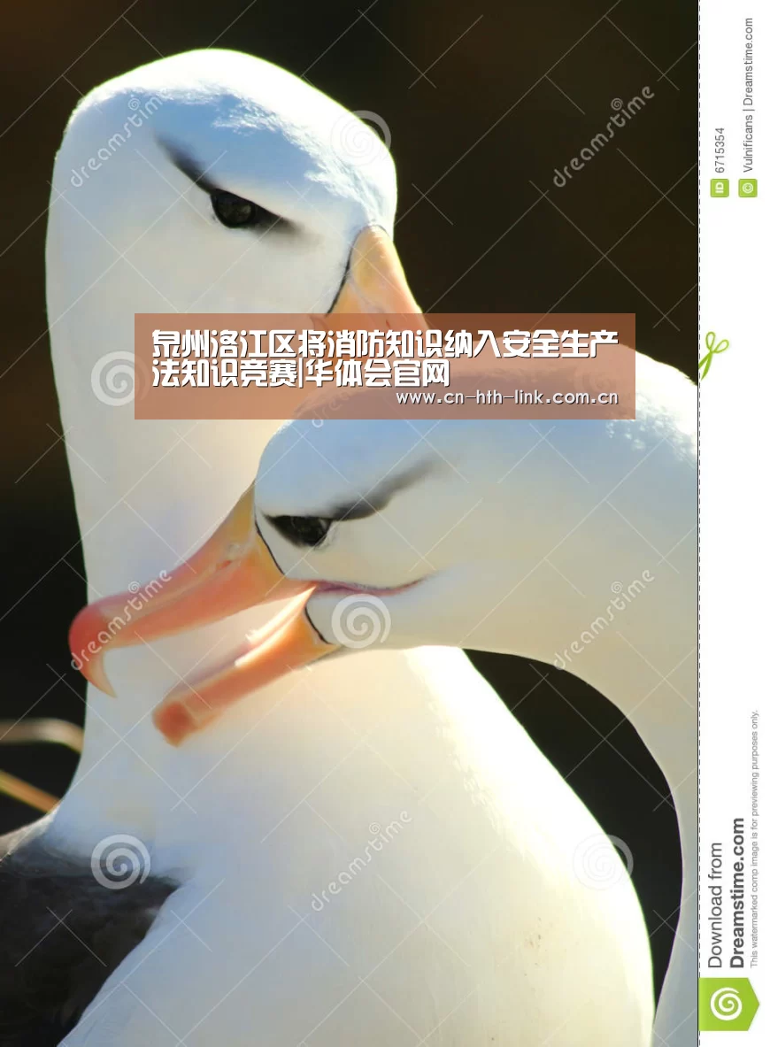 泉州洛江区将消防知识纳入安全生产法知识竞赛|华体会官网(图3) 华体会